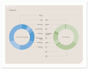 CVOEO: 2011 Annual Report